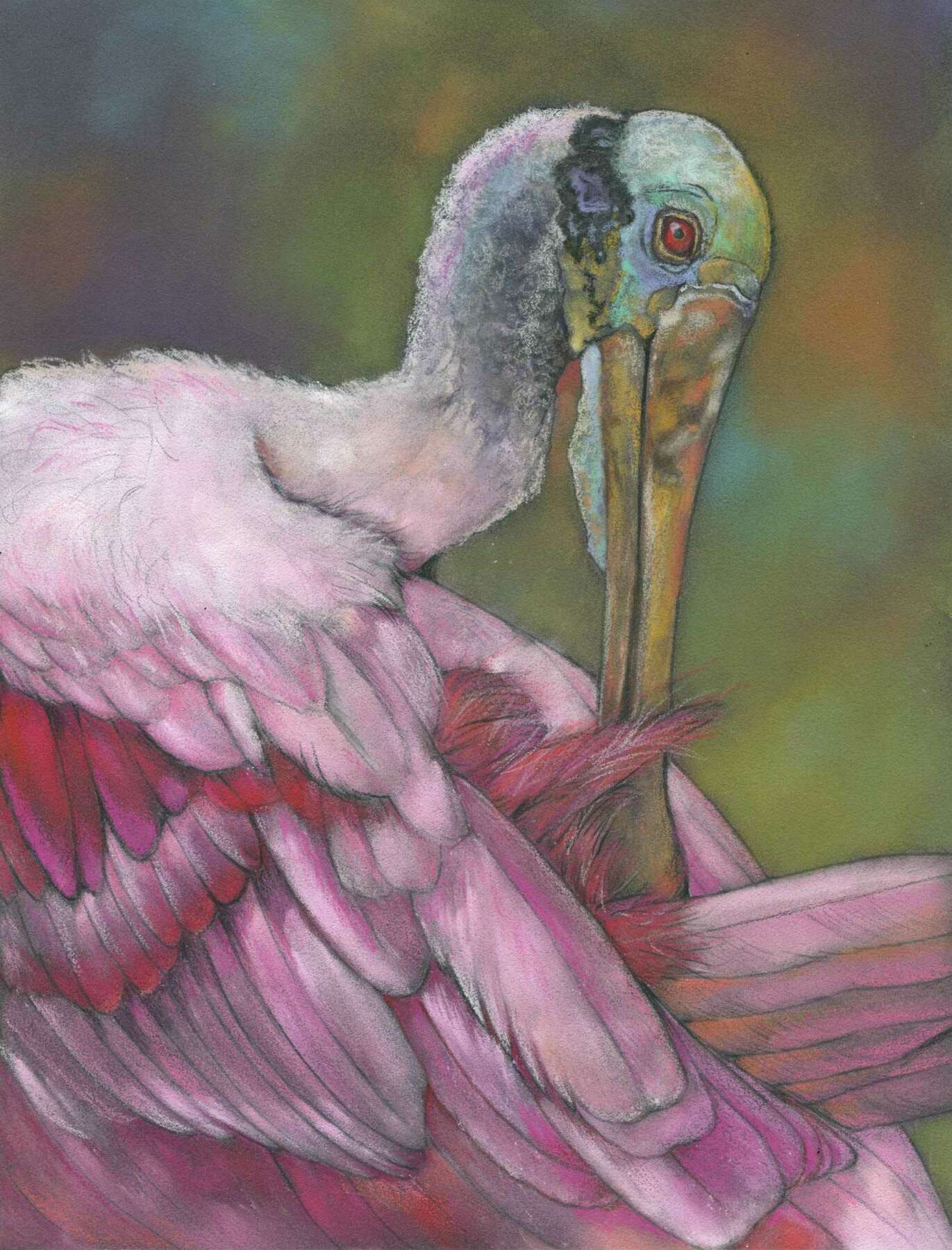 Roseate Spoonbill