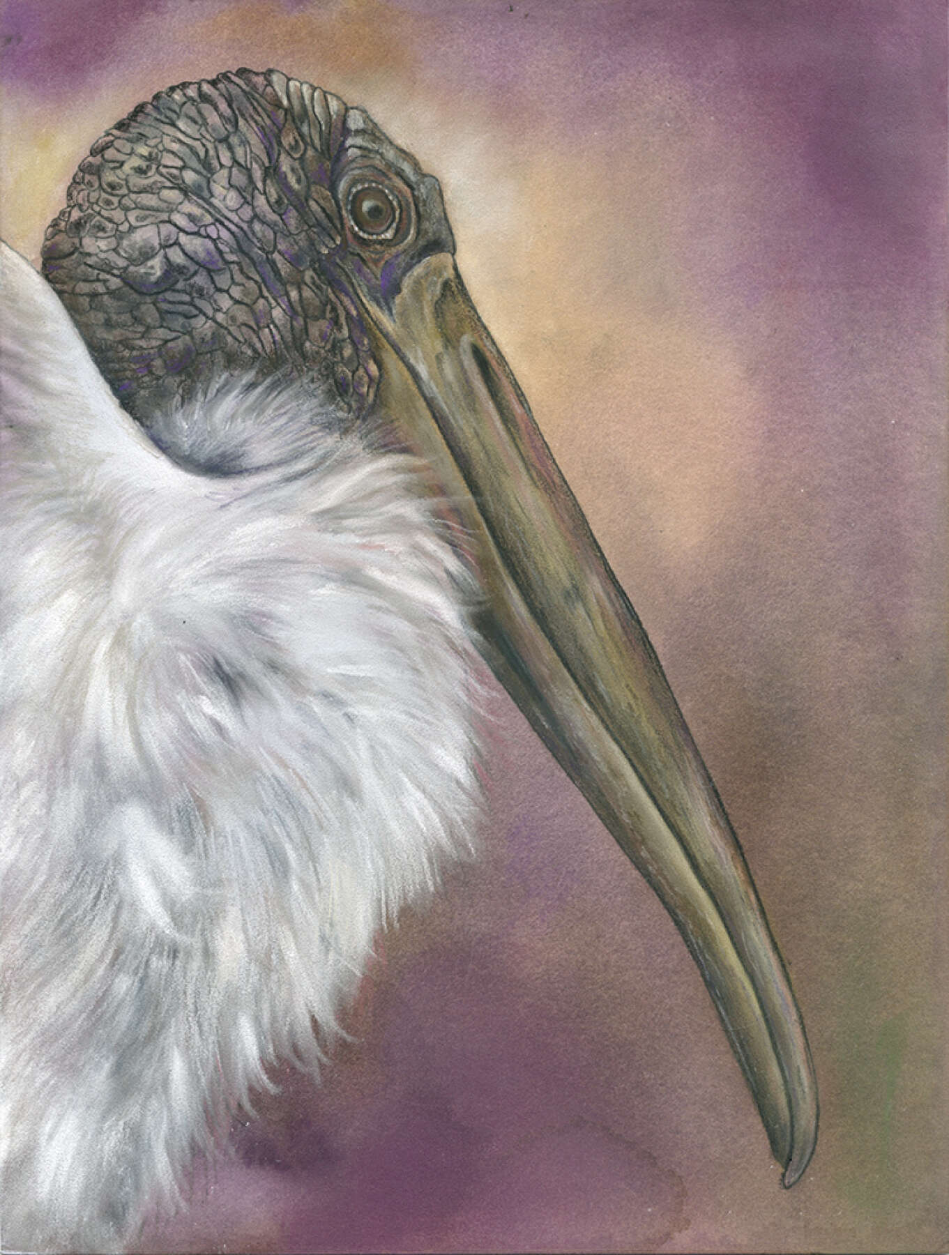 WoodStork