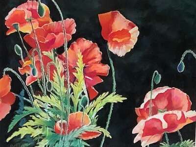 Harriet Dobbins - Sunlight through the Poppies