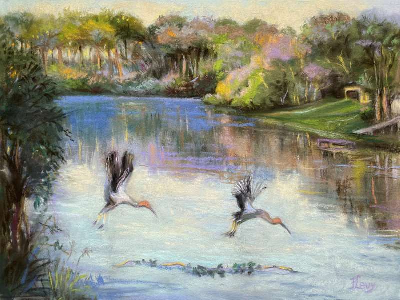 "Wood Storks Seminole County" by Francene Levy