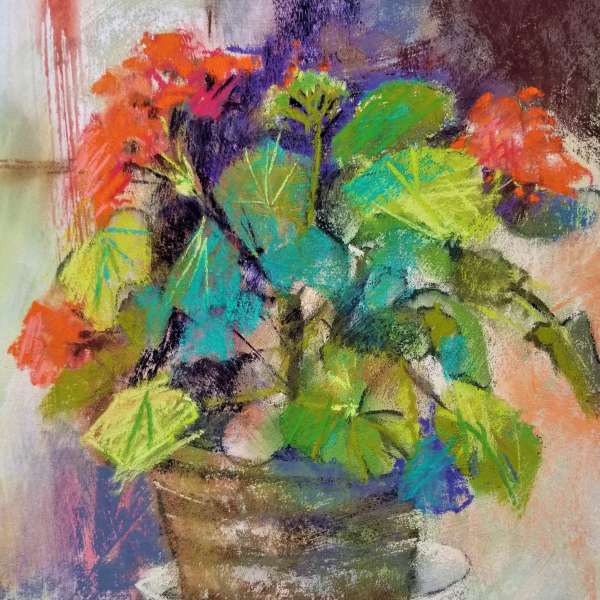 "My Geraniums" by Linda Hansee