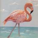  Flamingo  Judy Kraft