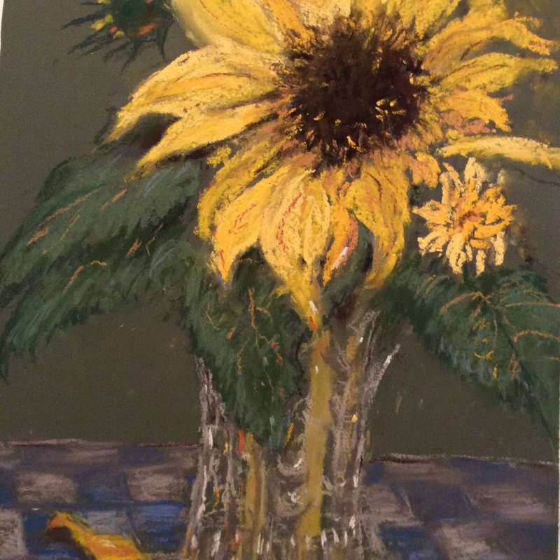 Sunflower     by Donna Tweedle