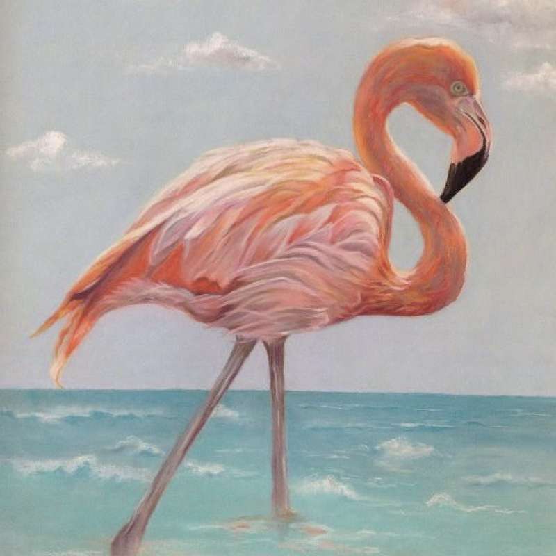  Flamingo  Judy Kraft