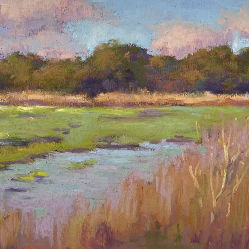 Morning Wetlands Morning Wetlands