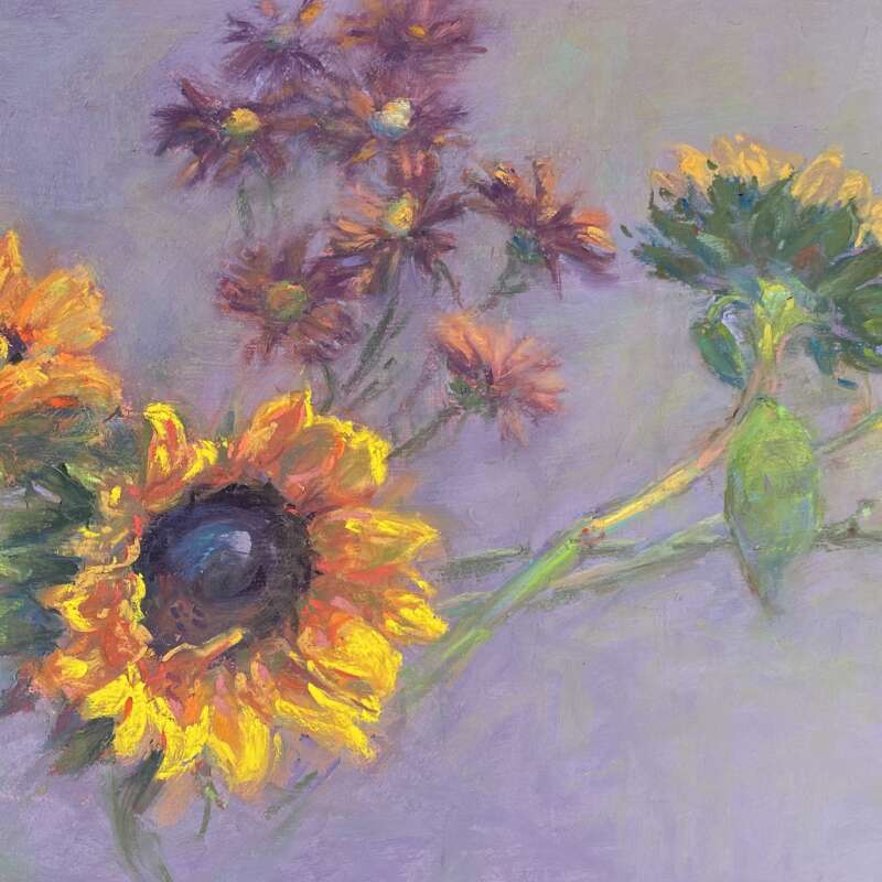 Sunflower Melody Sunflower Melody